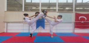 Büyükşehir’den taekwondo eğitimi